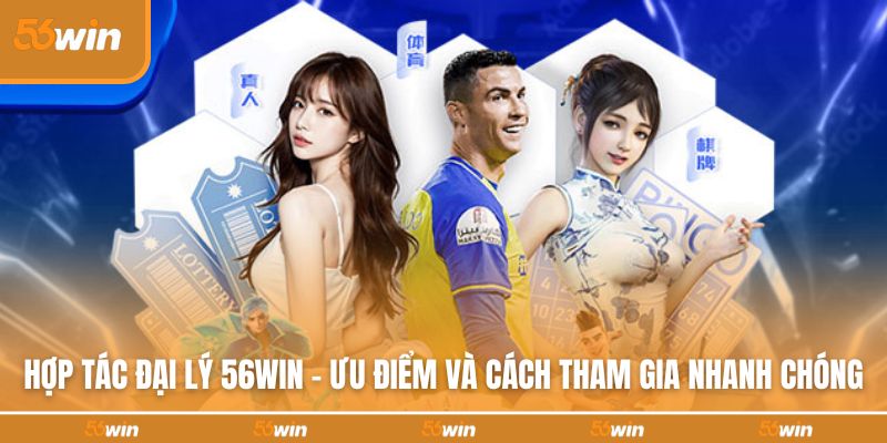 hop-tac-dai-ly-56win-anh-dai-dien